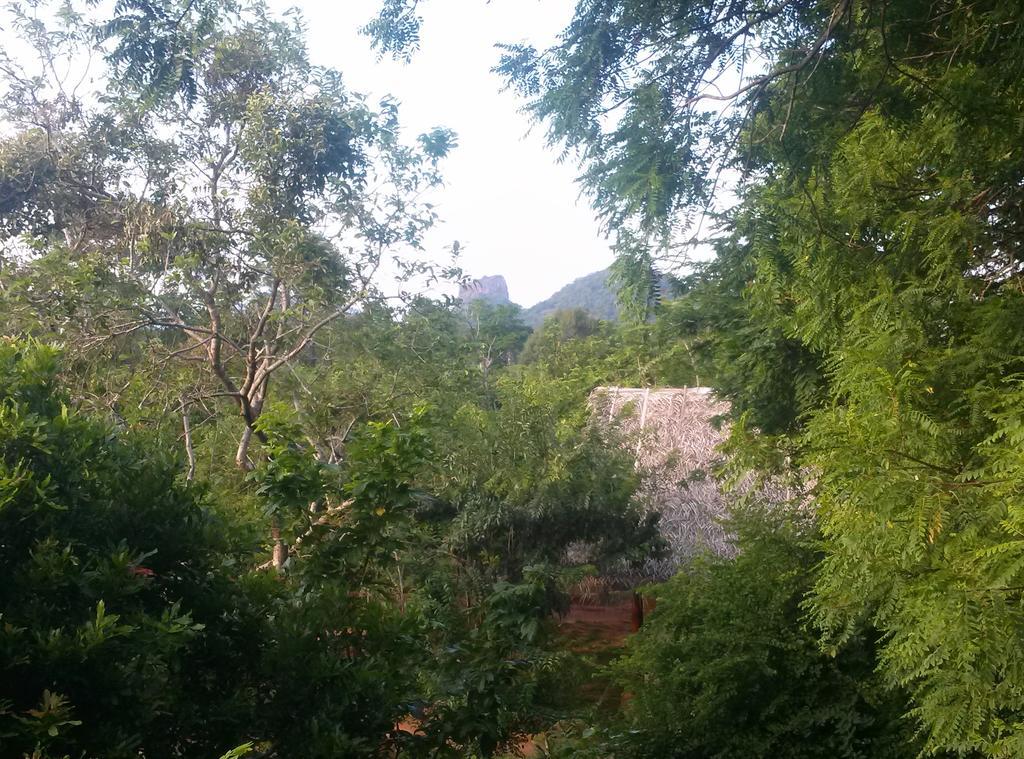 Kuwera Eco Lodge สิกิริยา ภายนอก รูปภาพ