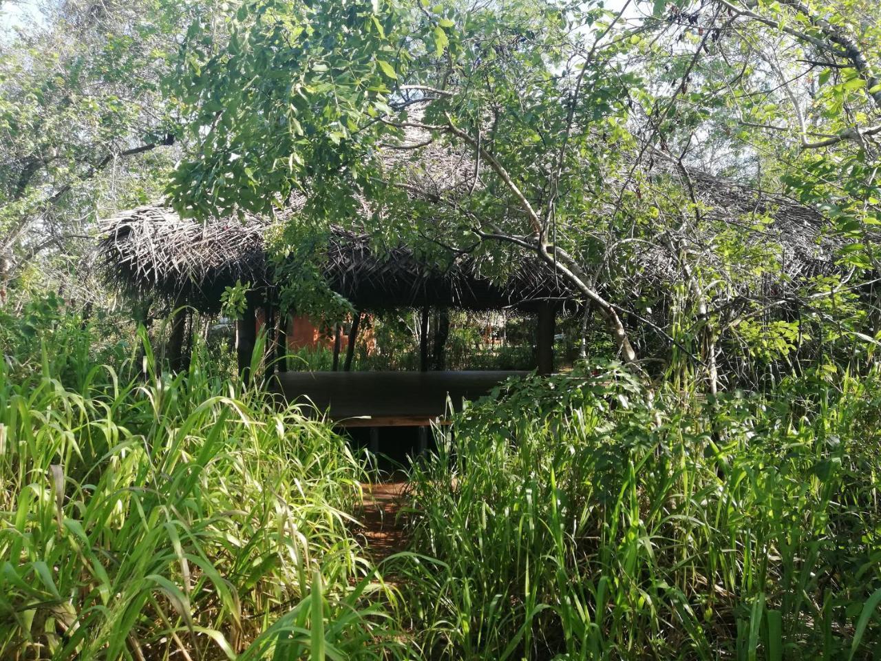 Kuwera Eco Lodge สิกิริยา ภายนอก รูปภาพ
