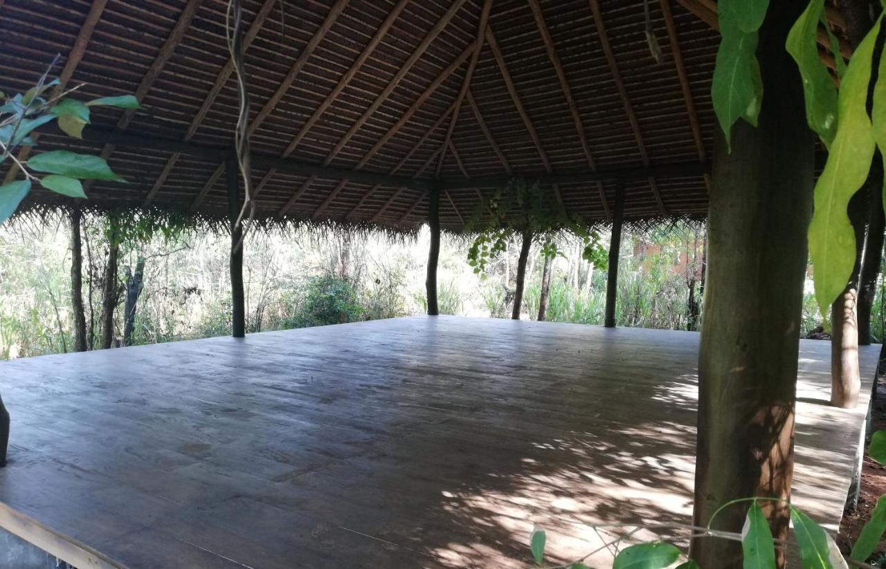 Kuwera Eco Lodge สิกิริยา ภายนอก รูปภาพ